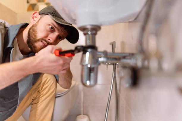 Best Commercial Plumbing Services  in Shelbina, MO