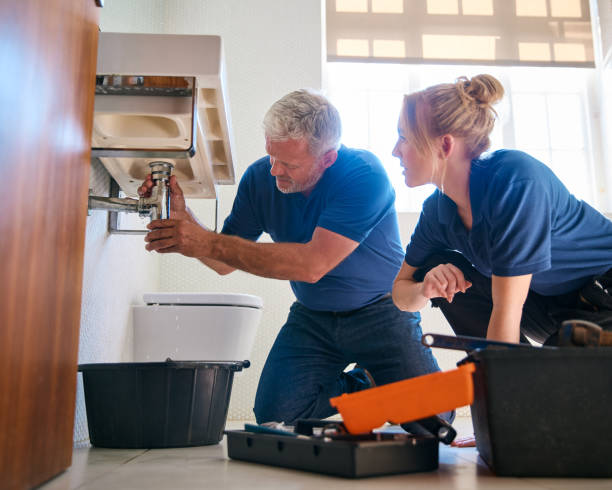 Best Clogged Drain Plumber  in Shelbina, MO