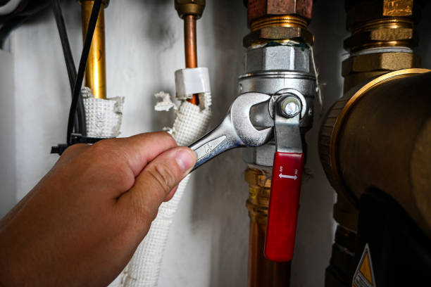 Best Emergency Plumber  in Shelbina, MO